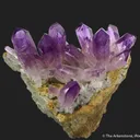 Quartz var. Amethyst with Epidote - image 1