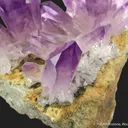 Quartz var. Amethyst with Epidote - image 6