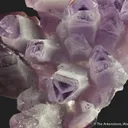 Quartz var. Amethyst with phantoms - image 6