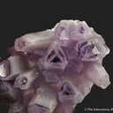 Quartz var. Amethyst with phantoms - image 4