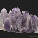 Quartz var. Amethyst with phantoms - image 5