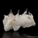 Quartz var. Amethyst with reverse scepters - image 3