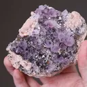 Quartz var. Amethyst with Rhodochrosite - image 2
