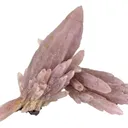Quartz Var. Amethyst With Sphalerite - image 1
