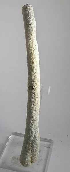 Quartz (Var: Chalcedony) image