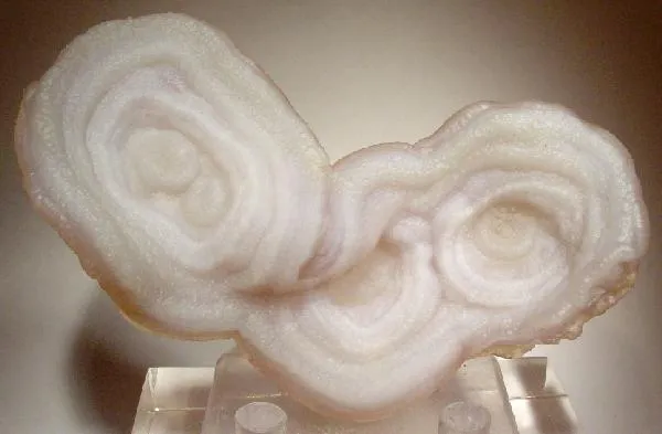 Quartz (Var: Chalcedony) image