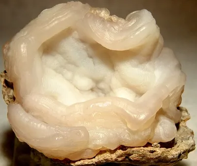 Quartz (Var: Chalcedony) image