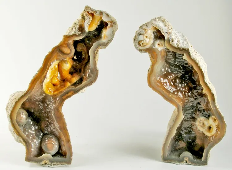 Quartz (Var: Chalcedony) image