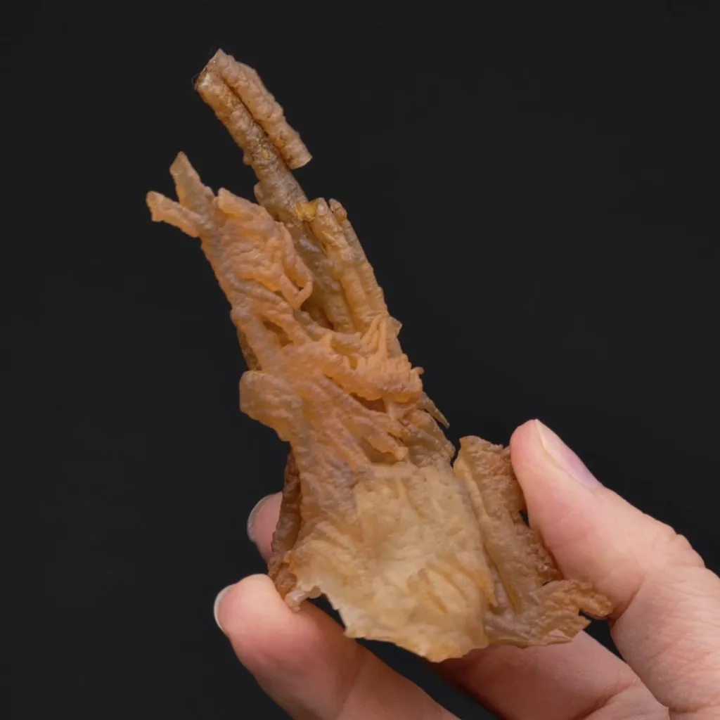 Quartz var. Chalcedony - image 2
