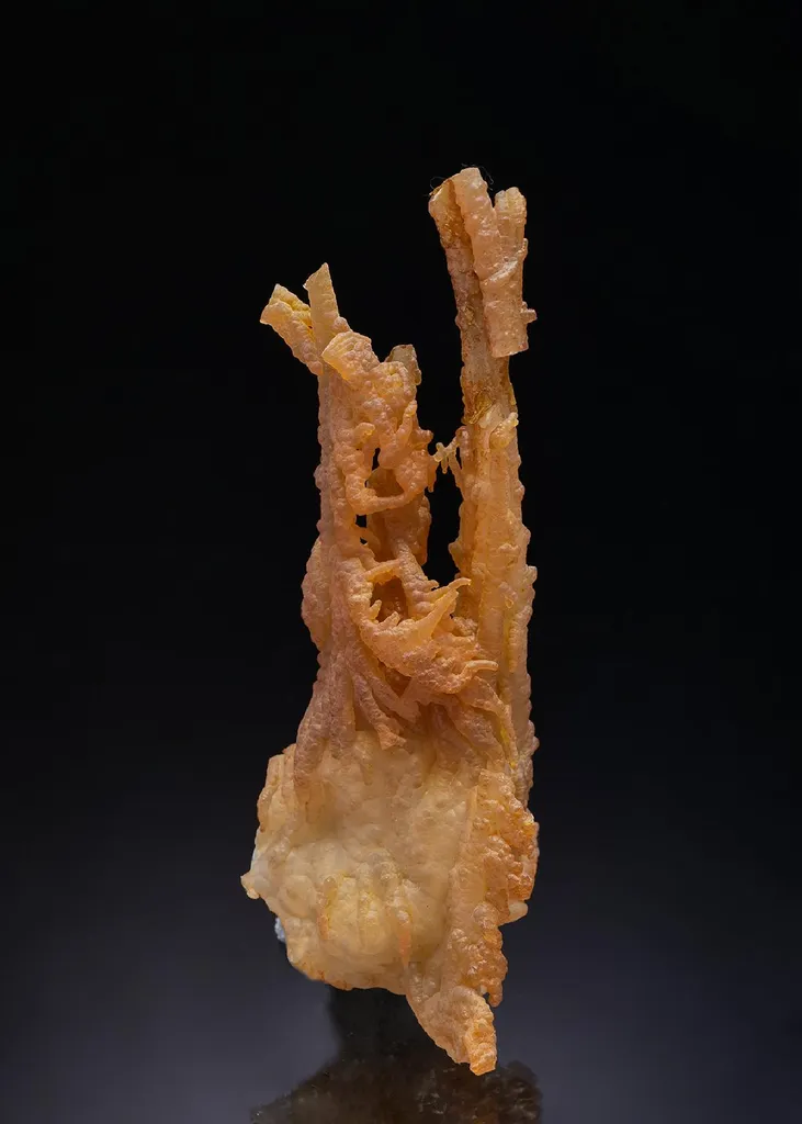 Quartz var. Chalcedony image