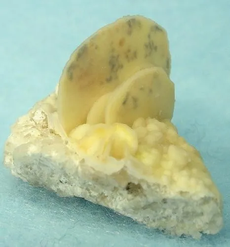 Quartz (Var: Chalcedony), Calcite - image 1