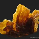 Quartz var. Chalcedony (circa 1840) - image 1