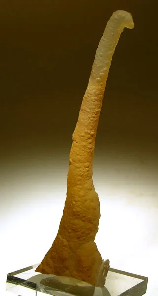 Quartz (Var: Chalcedony) image
