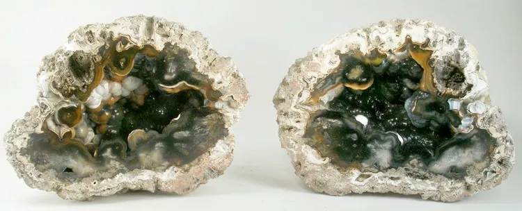Quartz (Var: Chalcedony) image