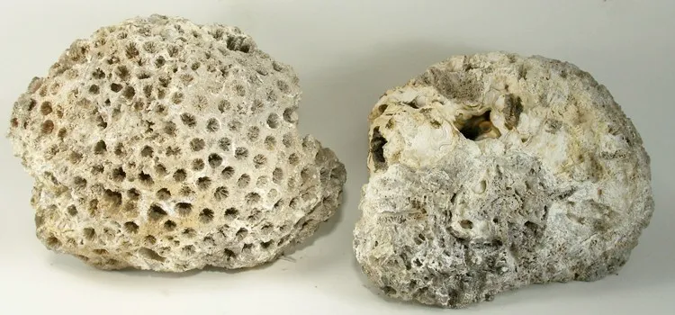 Quartz (Var: Chalcedony) - image 2