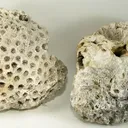 Quartz (Var: Chalcedony) - image 2
