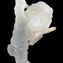 Quartz Var. Chalcedony Ps. Calcite on Chalcedony Stalactites - image 3