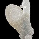 Quartz Var. Chalcedony Ps. Calcite on Chalcedony Stalactites - image 2