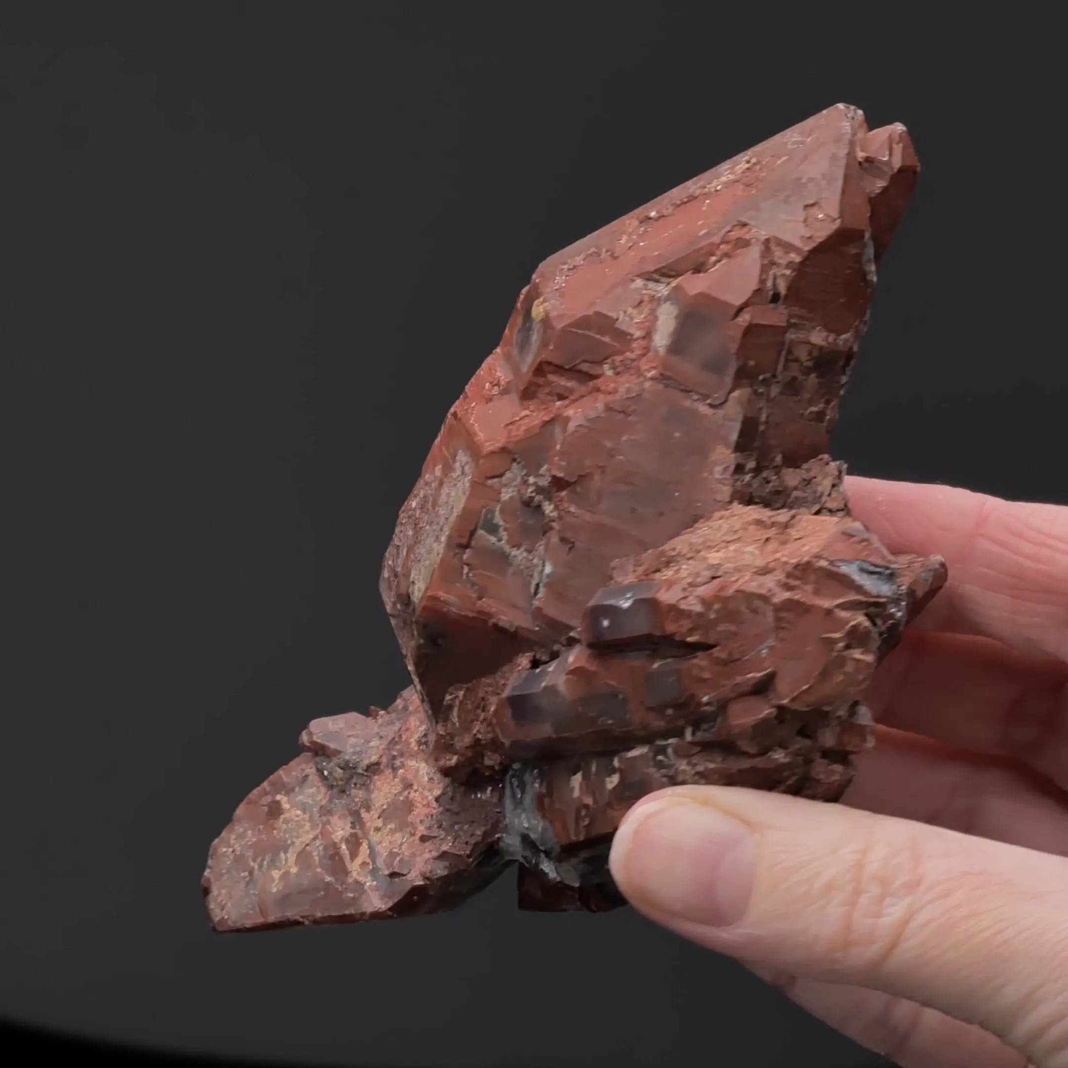 Quartz var. Eisenkiesel - image 2