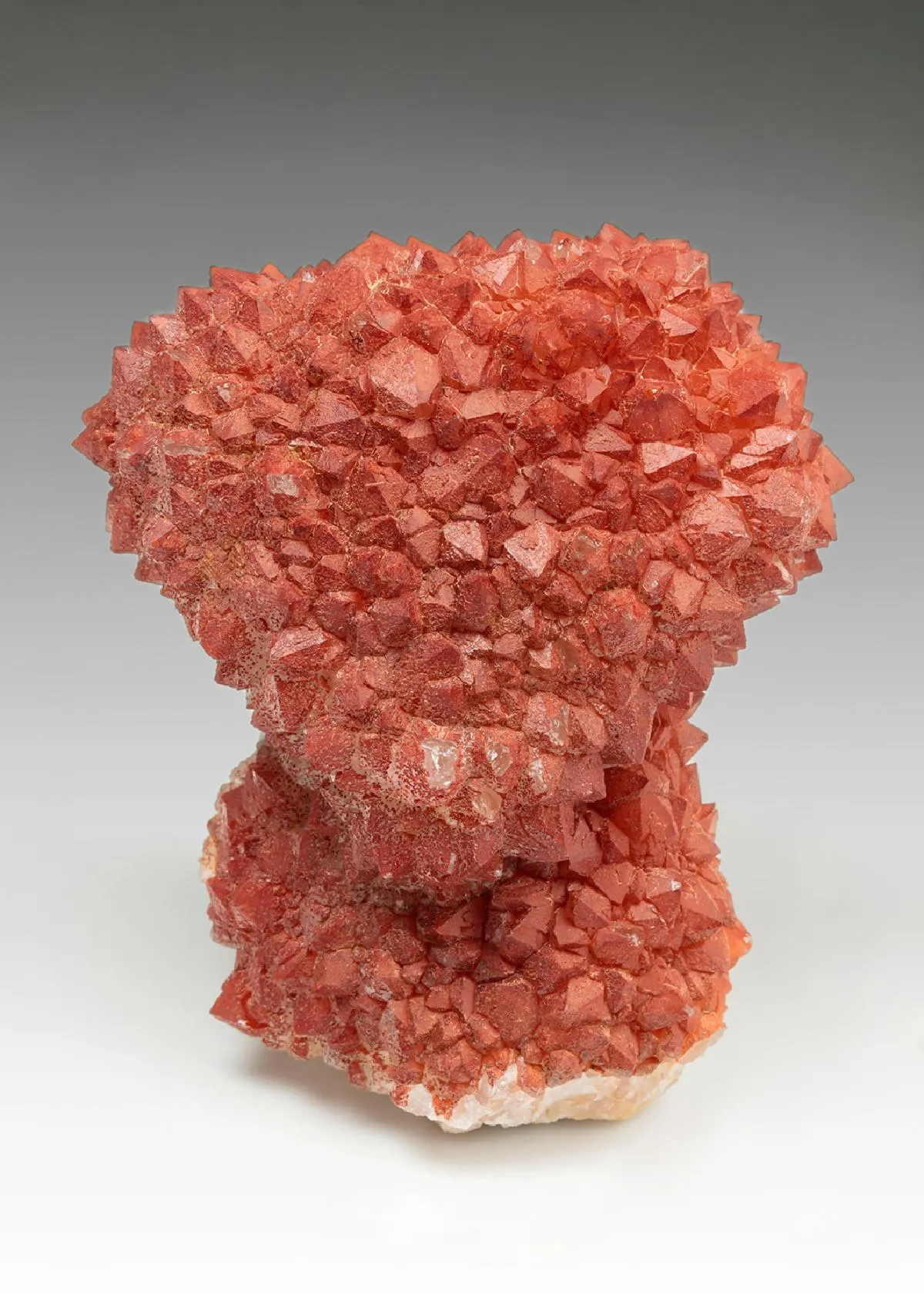 Quartz var. Eisenkiesel - image 1