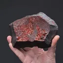 Quartz Var. EISENKIESEL on Hematite - image 2