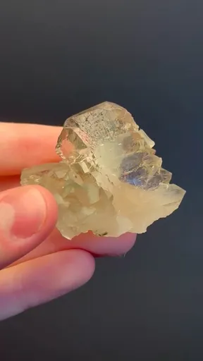 specimen video