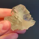 specimen video