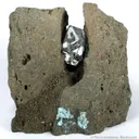 Quartz Var. "Herkimer Diamond," in Dolomite - image 1