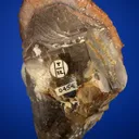 Quartz var. Onegite on Quartz var. Smoky - image 4