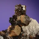 Quartz var. Onegite with Goethite (repaired) - image 2
