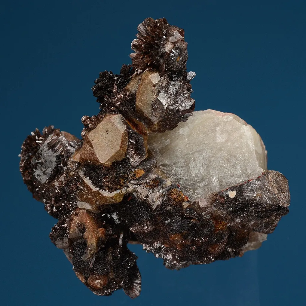 Quartz var. Onegite with Goethite (repaired) image