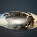Quartz var. Plume Agate - image 3