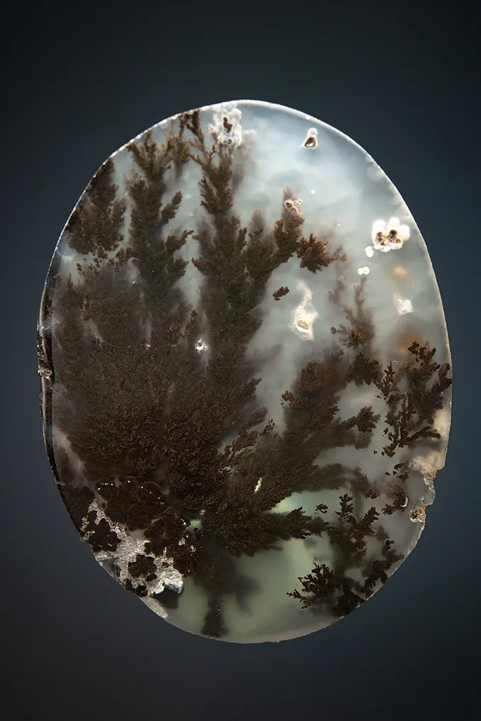 Quartz var. Plume Agate - image 2