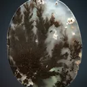 Quartz var. Plume Agate - image 2