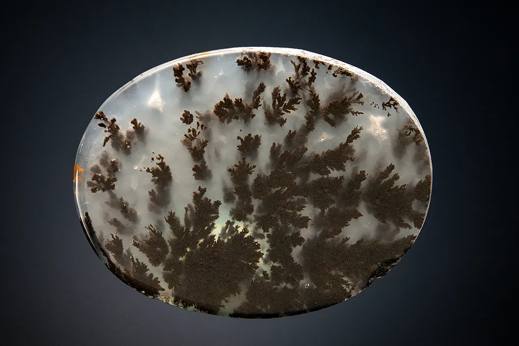 Quartz var. Plume Agate image
