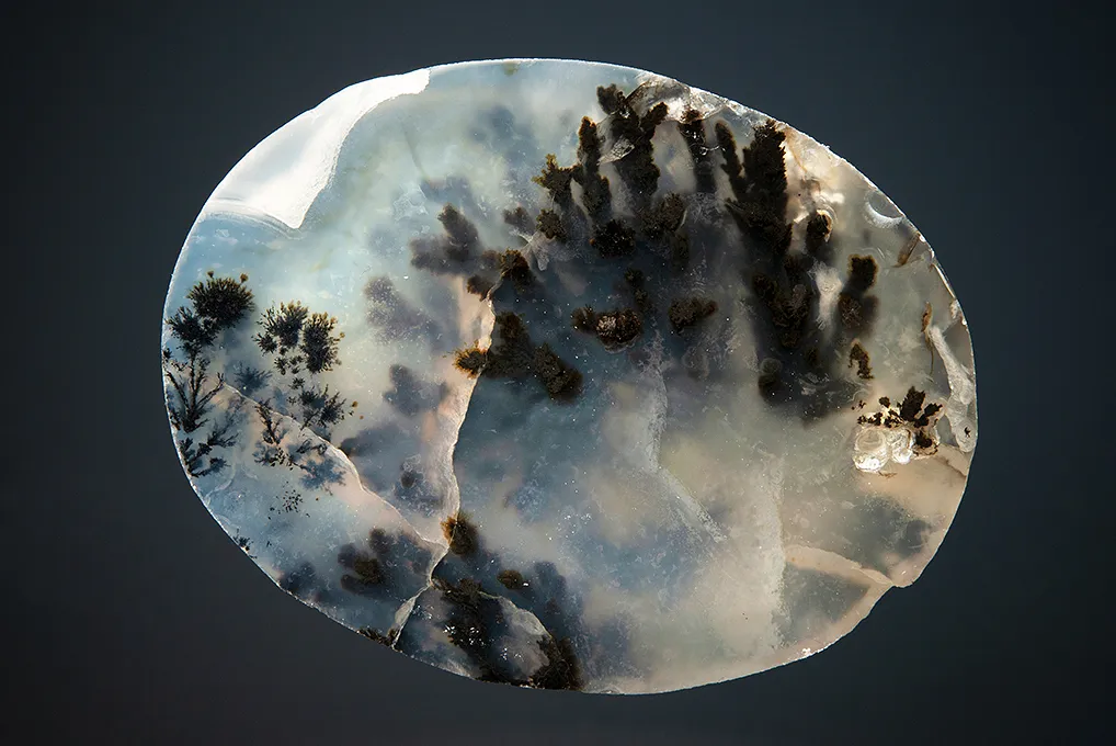 Quartz var. Plume Agate - image 2