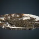 Quartz var. Plume Agate - image 3