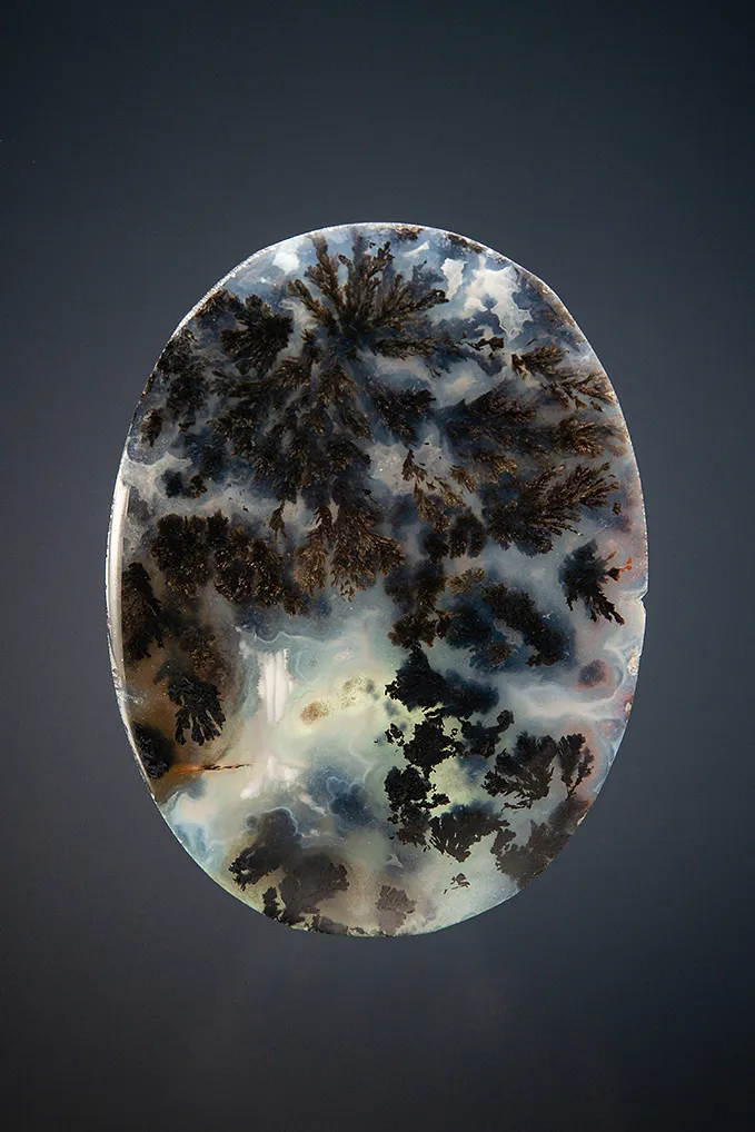 Quartz var. Plume Agate image