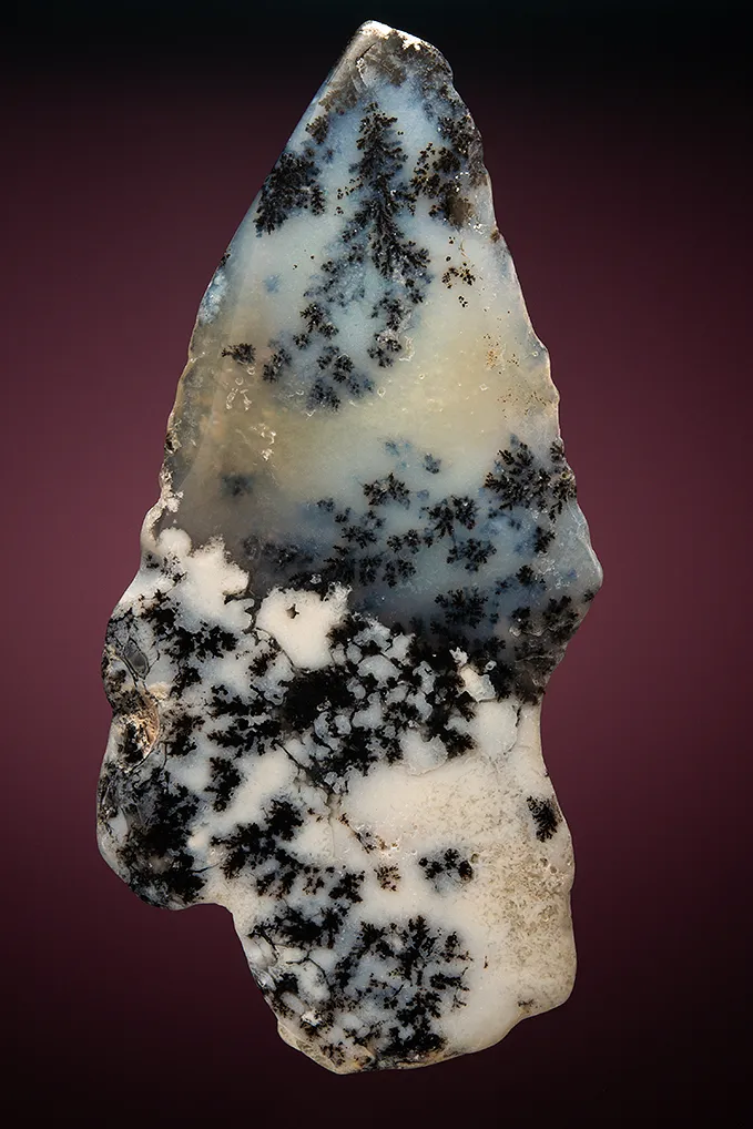 Quartz var. Plume Agate image