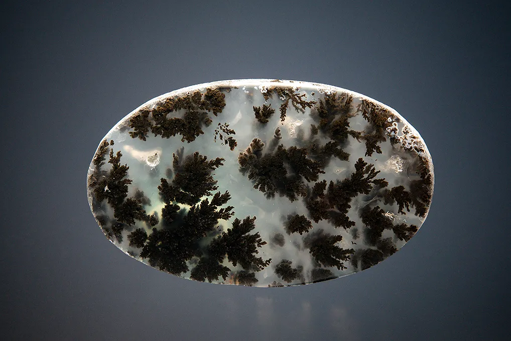 Quartz var. Plume Agate image