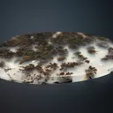 Quartz var. Plume Agate - image 3
