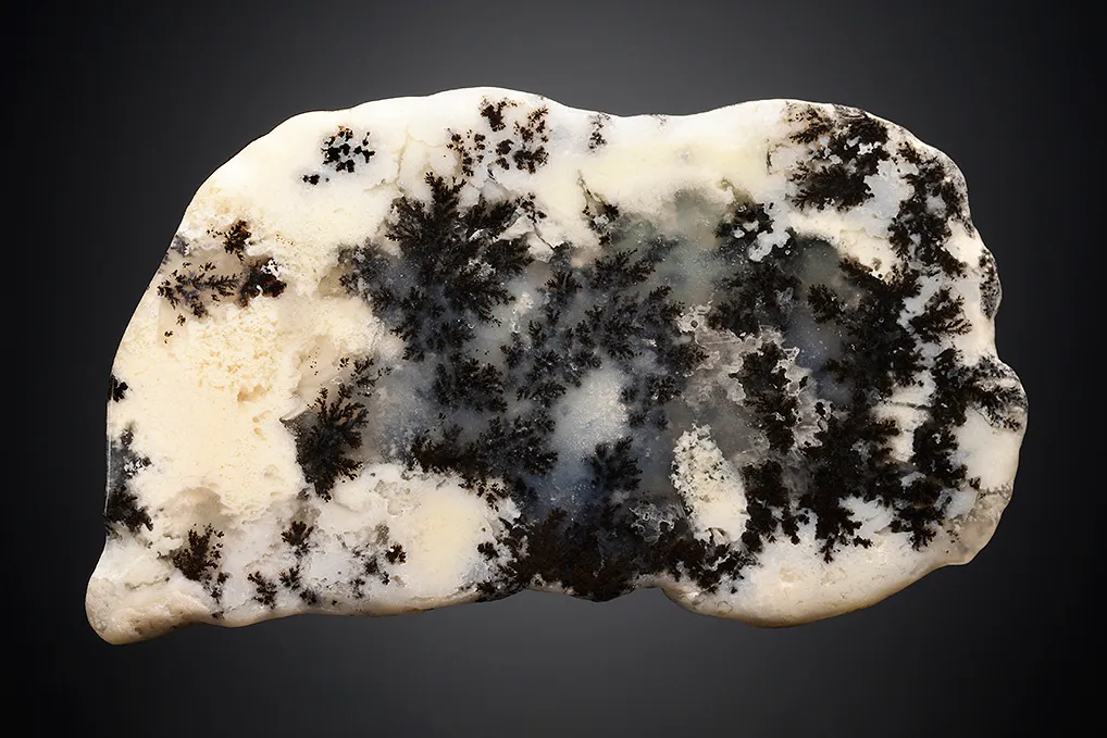 Quartz var. Plume Agate image