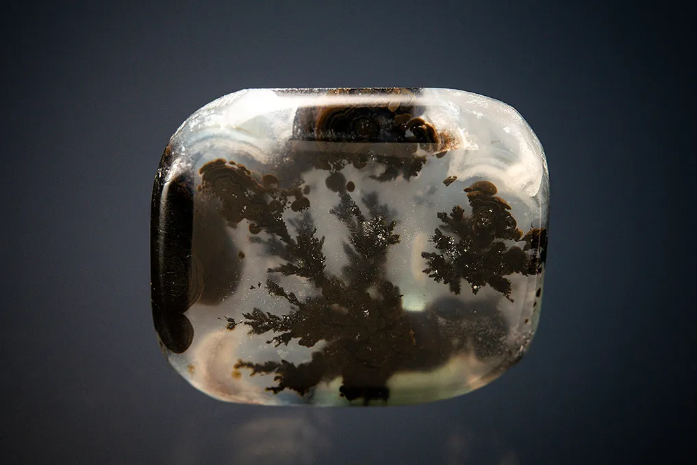 Quartz var. Plume Agate image