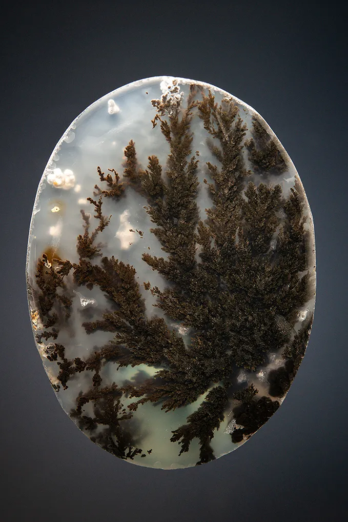 Quartz var. Plume Agate image