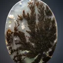 Quartz var. Plume Agate - image 1