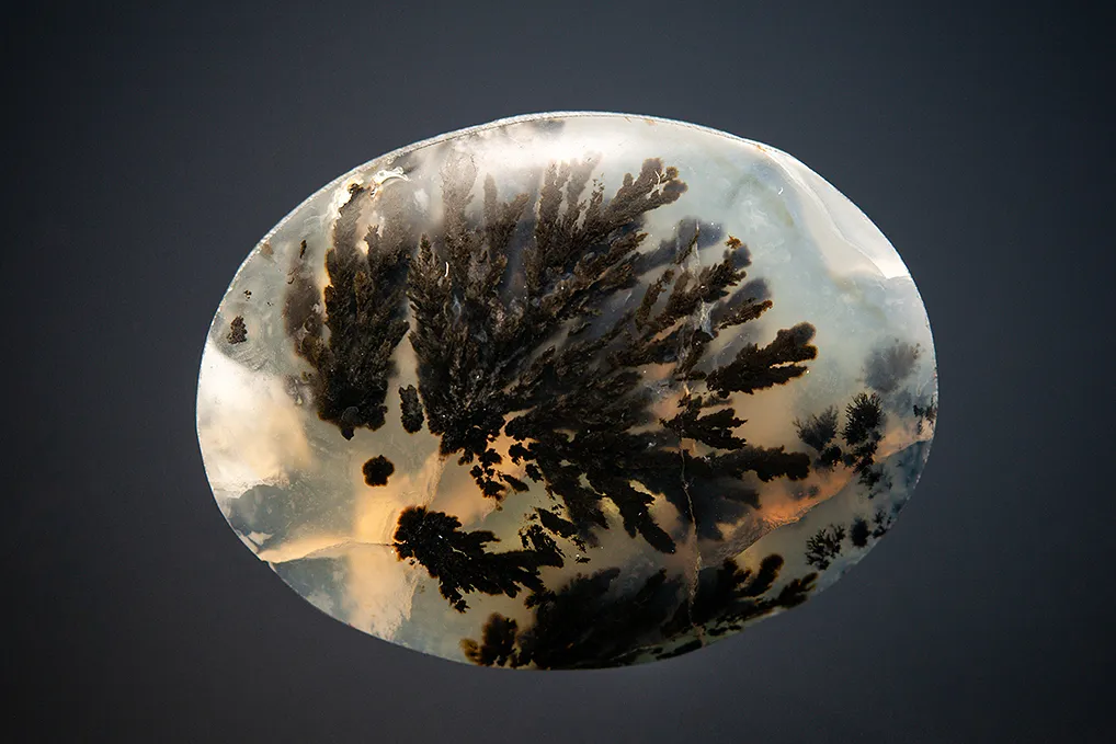 Quartz var. Plume Agate image