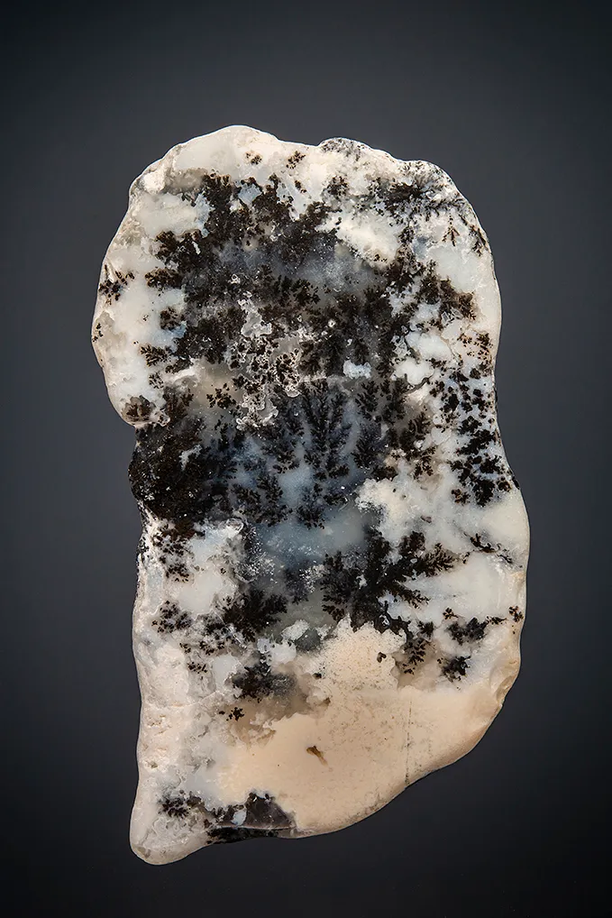 Quartz var. Plume Agate - image 4