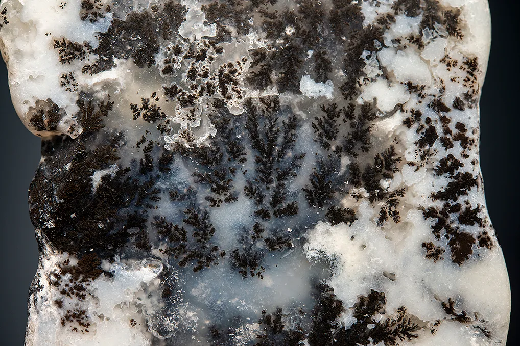 Quartz var. Plume Agate - image 2