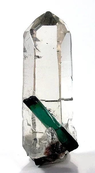 Quartz (Var: Rock Crystal), Tourmaline (Var: Verdelite) image