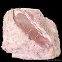 Quartz var. Rose on Albite - image 3